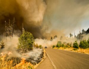 a road through Californian wildfires